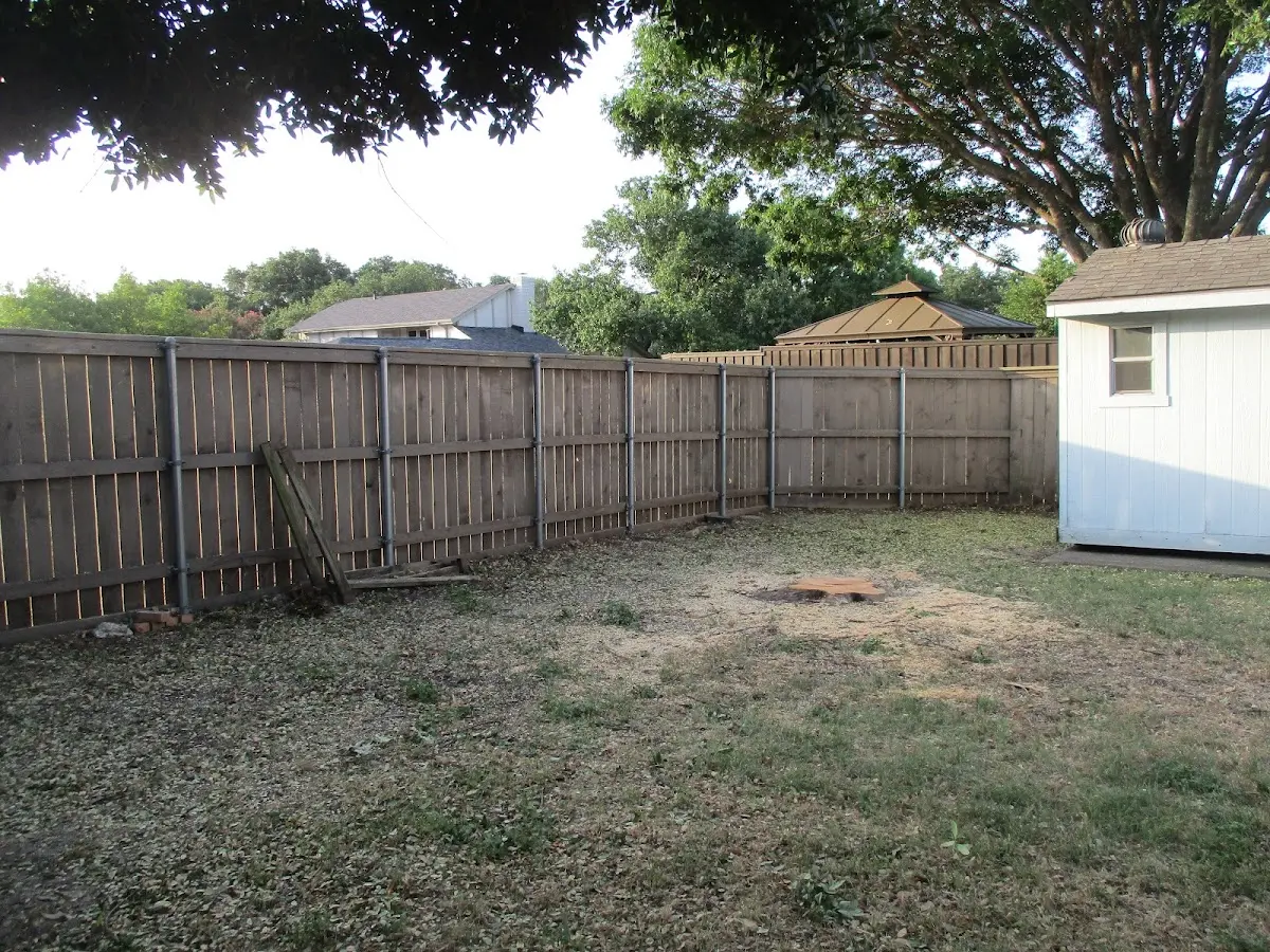 Cleared yard after professional tree removal in Grand Forks